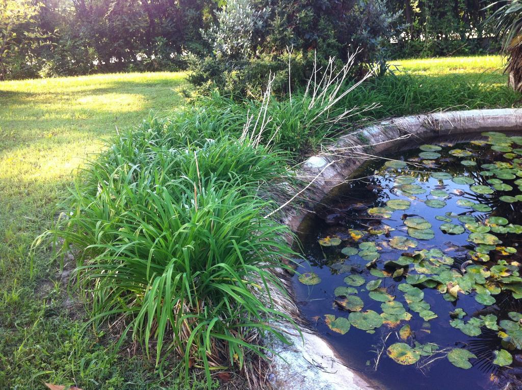 B&B Soiano Del Lago Zewnętrze zdjęcie